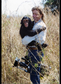 filming chimps africa